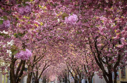 107-V.Heinzer-03 (1)