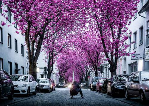 108-M.Nägele-01 (1)