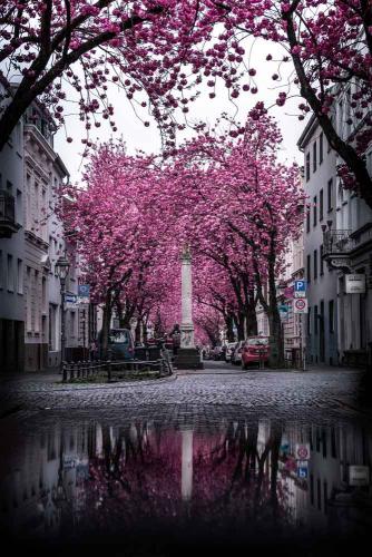 108-M.Nägele-02 (1)