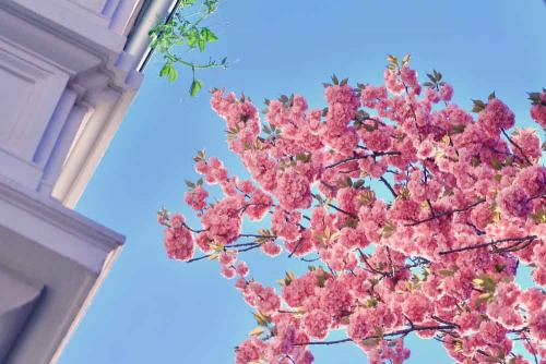 111-St.Neuhaus-03 (1)