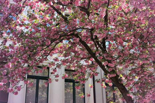 115-N.Chanthirakanthan-01