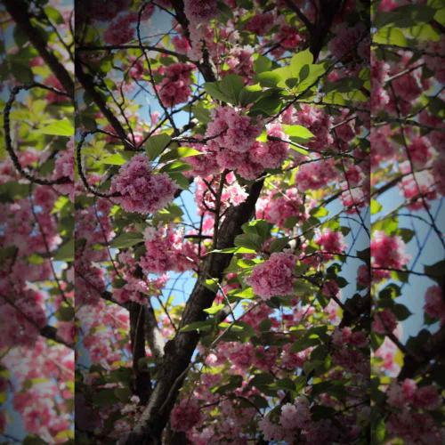 115-N.Chanthirakanthan-02