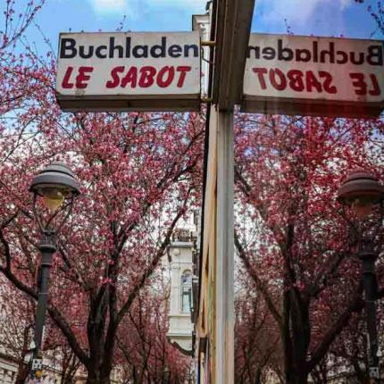 02-2021-Wett-A.Baras-2