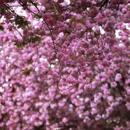 119-2021-Wett-A.Bernhardt-01