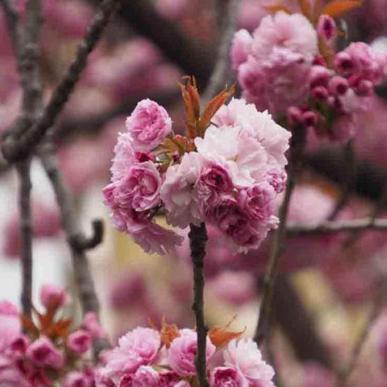 15-2021-Wett-B.Haase-01