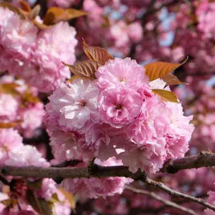 152-2021-Wett-L.Liebert-02