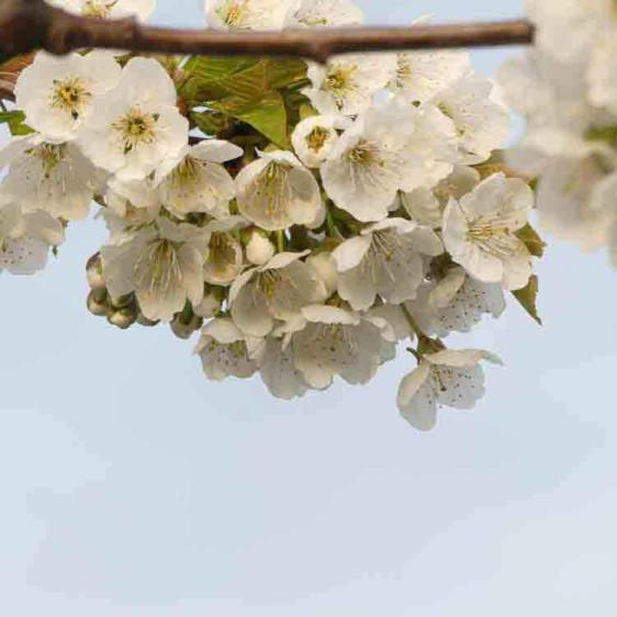 166a-2021-Wett-S.Weiß-01