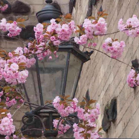 17-2021-Wett-B.Haase-03