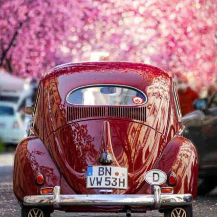 174-2021-Wett-L.Weintke-01