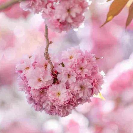 176-2021-Wett-L.Weintke-03