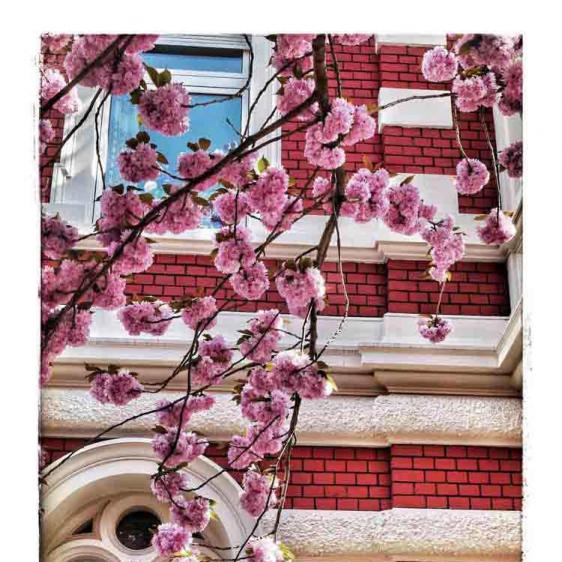 181-2021-Wett-S.Preis-02