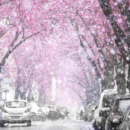 206-2021-Wett-Chr.Alles-01(1)