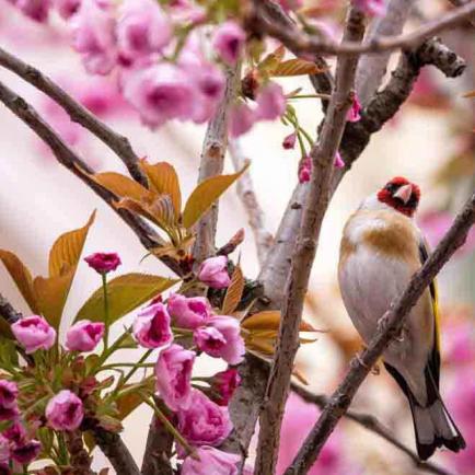 207-2021-Wett-Chr.Alles-02