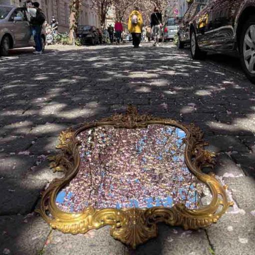 250-2021-Wett-D.Berkenkopf-03