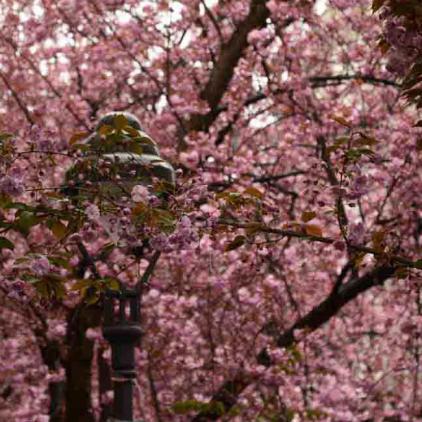 256-2021-Wett-Y.Balkova-03