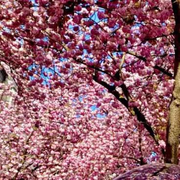 257-2021-Wett-St.Schaerer-01