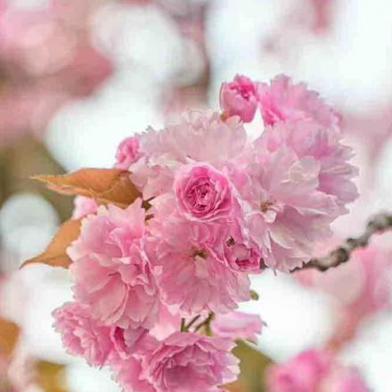 261-2021-Wett-B.Klein-01