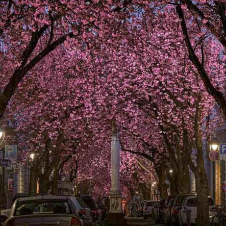 262-2021-Wett-B.Klein-02