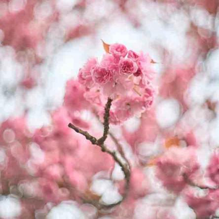 263-2021-Wett-B.Klein-03