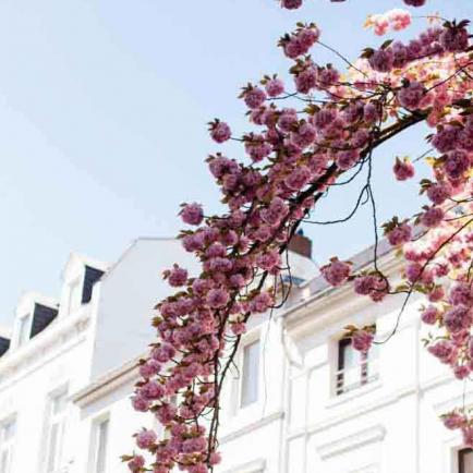 279-2021-Wett-H.vu-bender-02