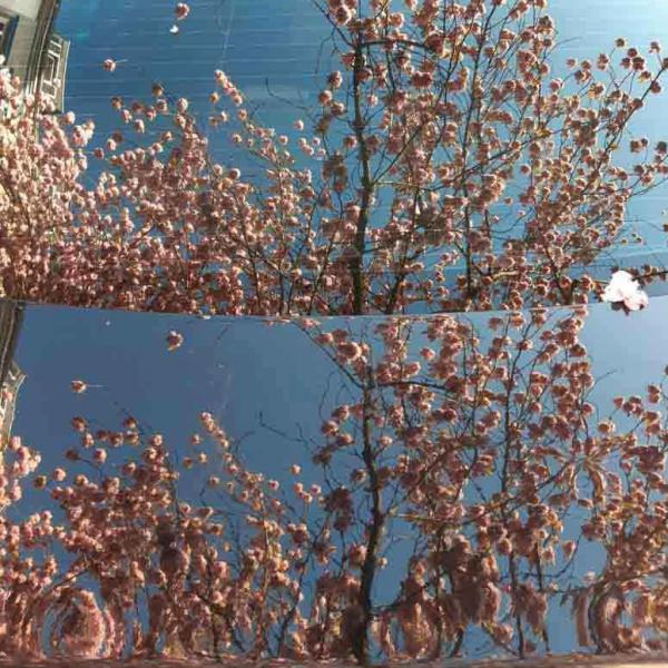 282-2021-Wett-S.Kramer-01