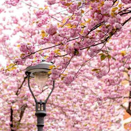 314-2021-Wett-P.lascorz-02