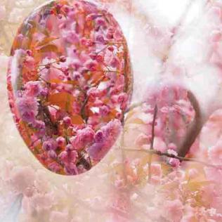 32-2021-Wett-S.Onkelbach-1