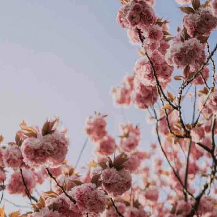 321-2021-Wett-F.Hetterich-02