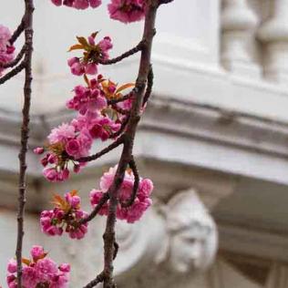 33-2021-Wett-S.Onkelbach-2