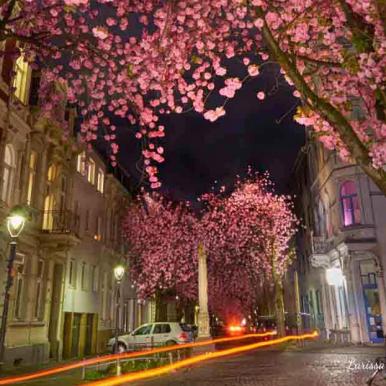 340-2021-Wett-L.Neubauer-01