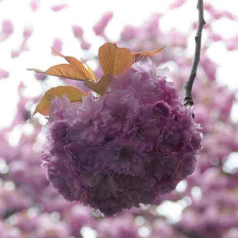 344-2021-Wett-H-J.Zwiefka-01