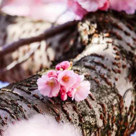 358-2021-Wett-St.Zeller-01