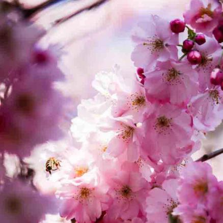 359-2021-Wett-St.Zeller-02