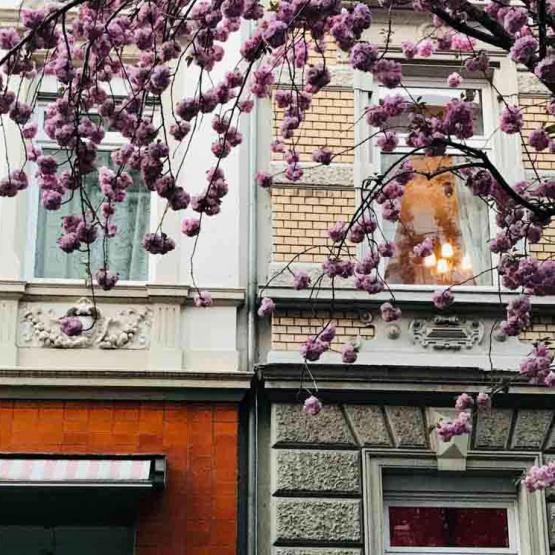 362-2021-Wett-K.Efimova-02