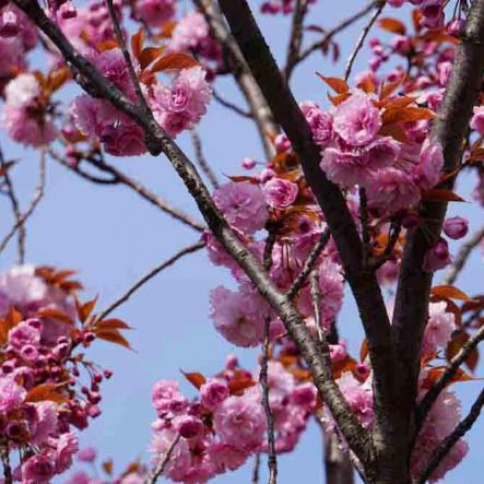 372-2021-Wett-M.Schwarz-02