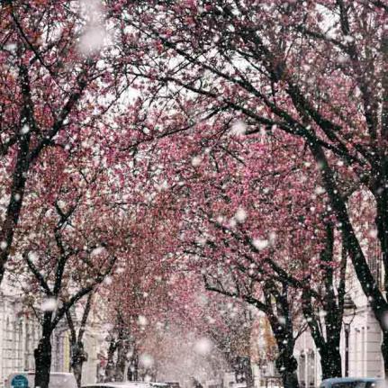 374-2021-Wett-M.Zeuner-01