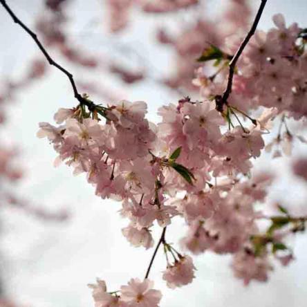 375-2021-Wett-M.Zeuner-02