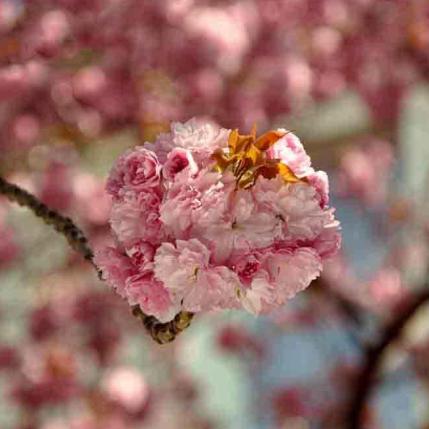 376-2021-Wett-M.Zeuner-03