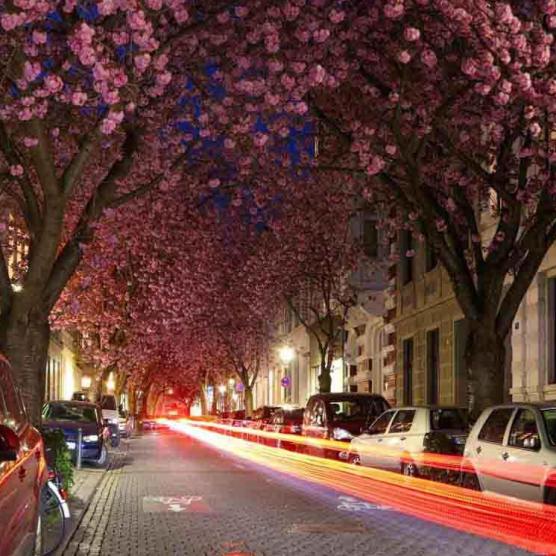 377-2021-Wett-J.Hagen-01