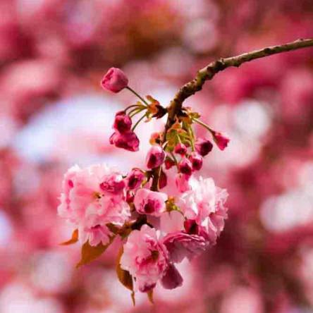 378-2021-Wett-J.Hagen-02