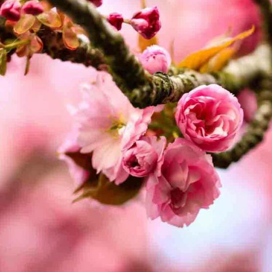 379-2021-Wett-J.Hagen-03