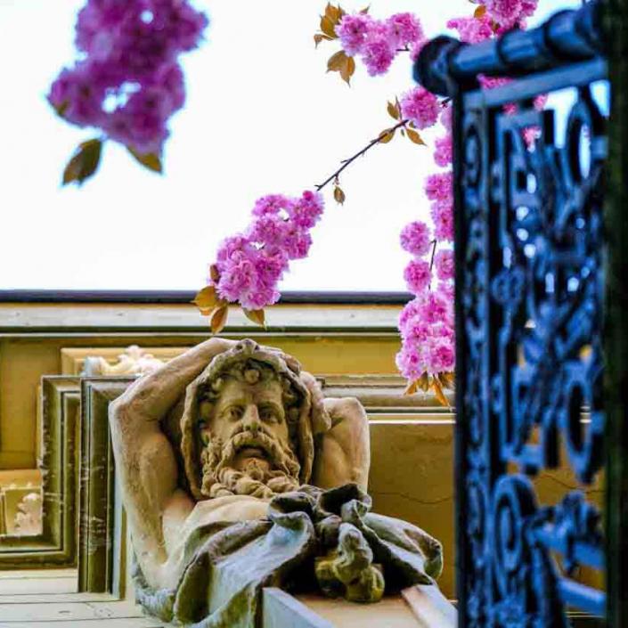 398-2021-Wett-C.Koch-01