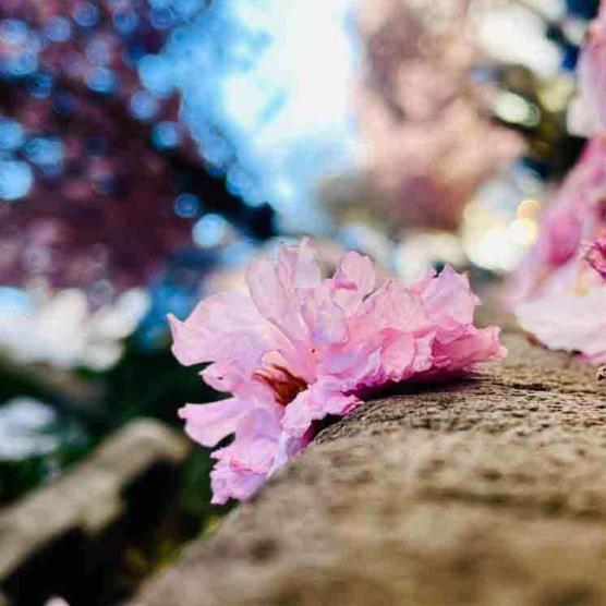 402-2021-Wett-A.Gerlach-02