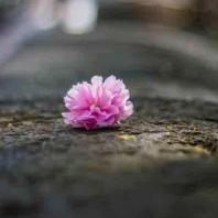 411-2021-Wett-B.Ulrich-01