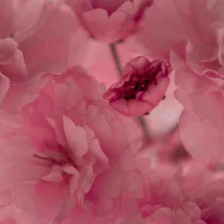 415-2021-Wett-H.Fielitz-02