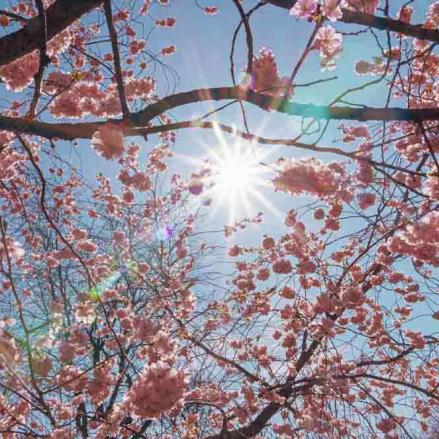 61-2021-Wett-E.Schittenhelm-02