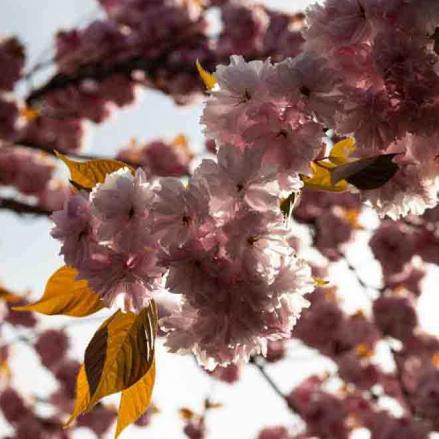 75-2021-Wett-P.Engel-02