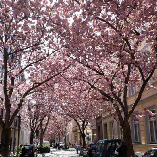 91-2021-Wett-S.Distler-01